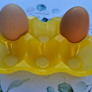 Plateau à œufs en résine alimentaire “Jaune Soleil”
