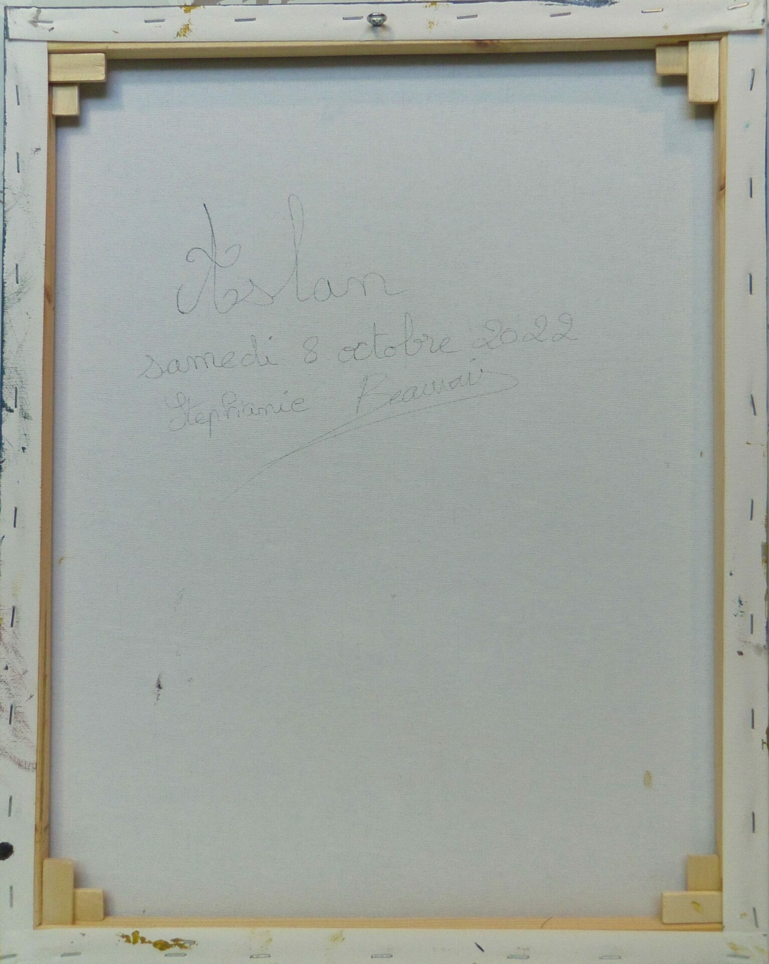 Aslan – Tableau acrylique original – Image 2